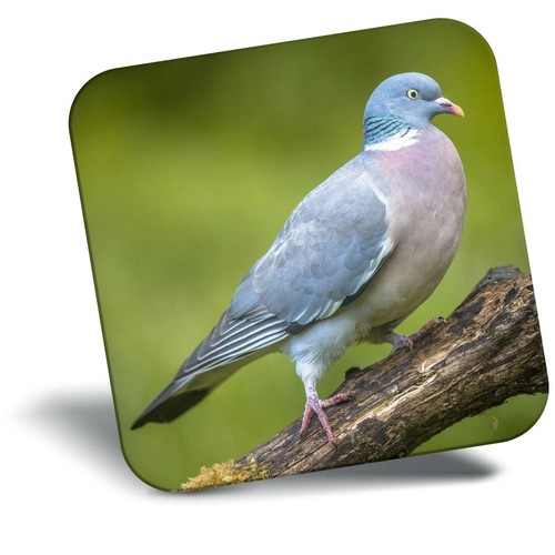 Awesome fridge magnet wood - -,
