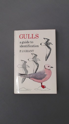 Gulls guide to - a,