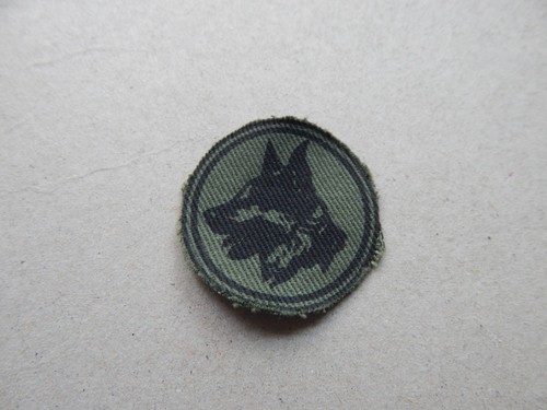 Rhodesia bsap dog - bsap,
