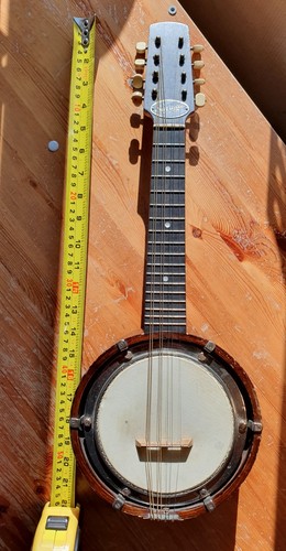 Savana mandolin banjo english - mandolin, banjo.