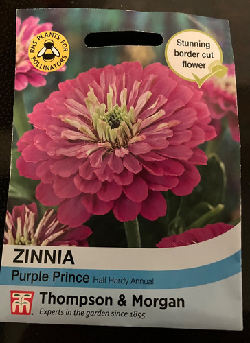 Thompson morgan new zinnia - thompson,