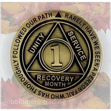 1 Month Alcoholics Anonymous Medallion Bronze Plated AA Sobriety Chip Coin