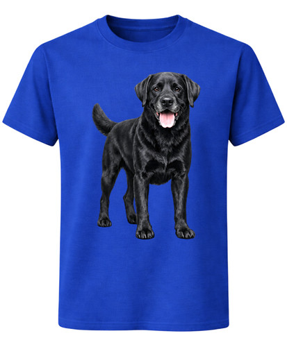 Black labrador retriever - black,