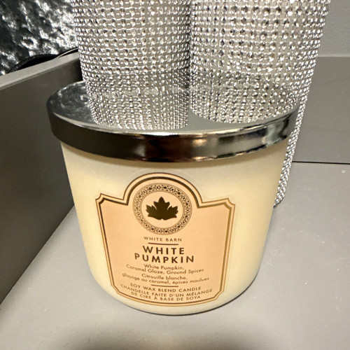 White barn pumpkin - white,