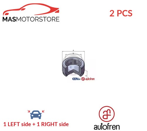Brake caliper piston pair - caliper,