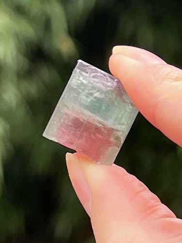 Watermelon tourmaline fine - watermelon,
