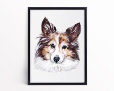 Sheltie Dog Portrait Watercolour Sheltie Dog Breed Poster Wall Art Poster