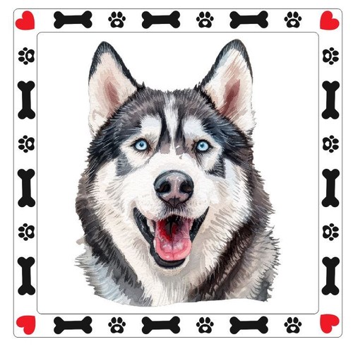Alaskan husky dog stickers - alaskan,