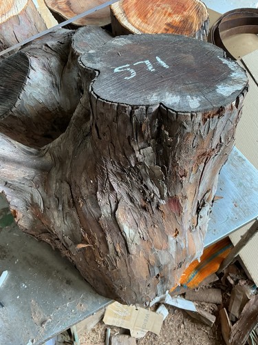 Yew block - block,huge,