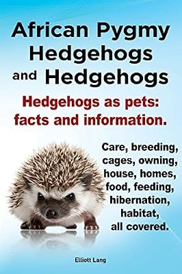 African pygmy hedgehogs and - african,