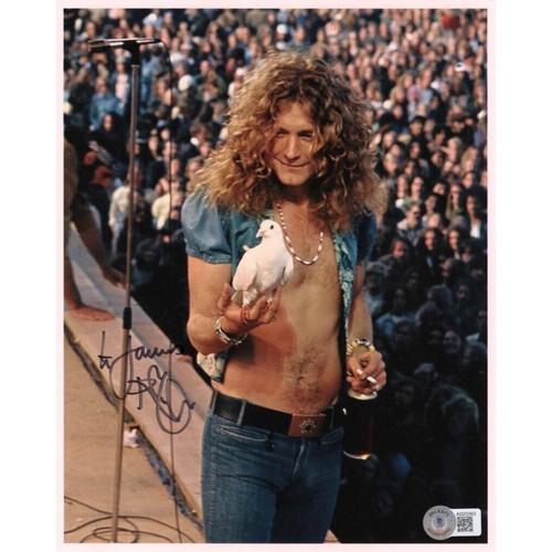Robert plant dove led zeppelin - robert,