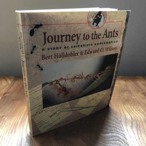 Journey the ants a story - the,