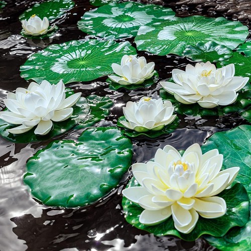 Floating lily pads - floating, plastic