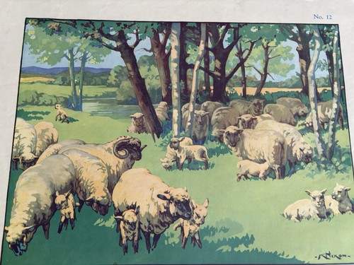 Vintage 50s macmillan - vintage,