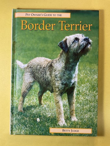 Border terrier betty judge - terrier,