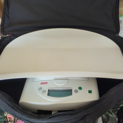 Seca 384 professional digital - seca,