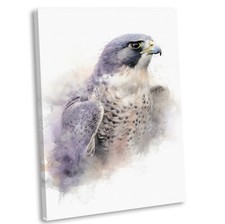 Peregrine Falcon Portrait Watercolour Style Canvas Print Framed Wall Art Picture