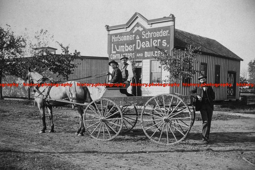 F000893 horse and buggy - horse,