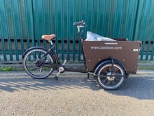 Babboe Dog Cargo Trike