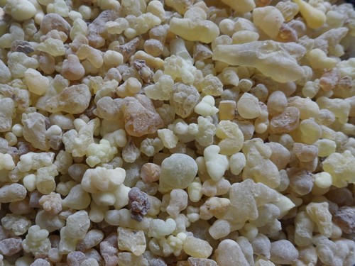Frankincense ethiopian - frankincense,