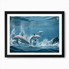 Beautiful Dolphins on the sea