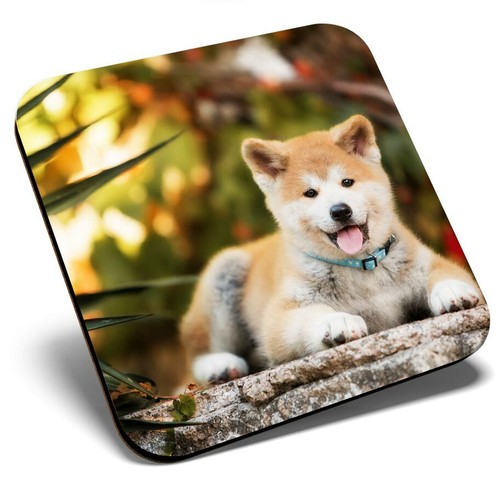 Square single coaster - square,
