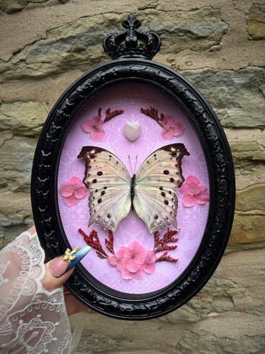 Framed pink mother pearl - mother, of