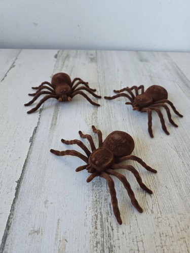Tarantula spider realistic