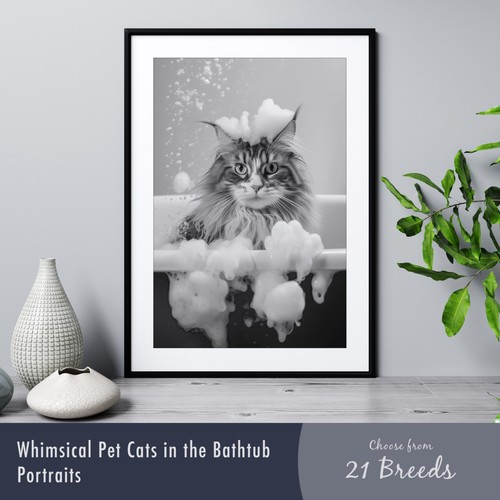Cat the bathtub - cat,