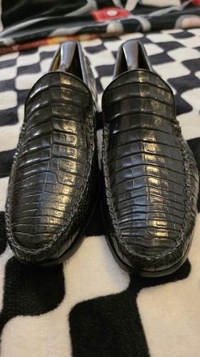 Belvedere genuine crocodile - belvedere,