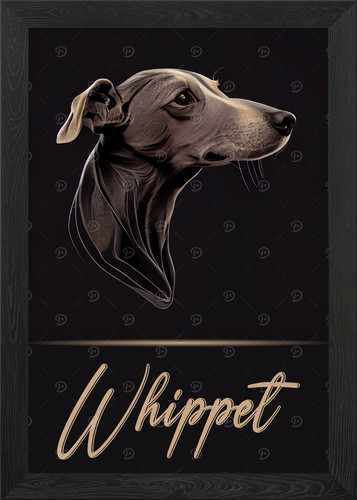 Whippet portrait framed wall - portrait,