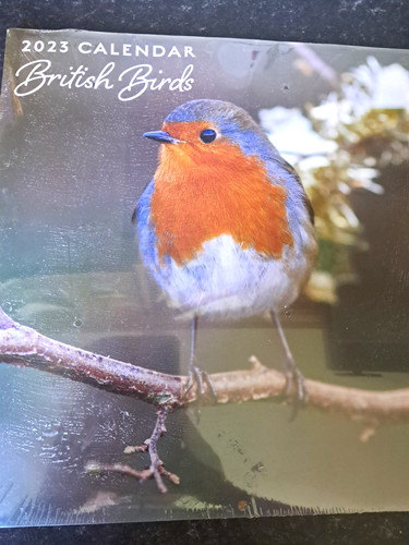 British birds planner calendar - birds,