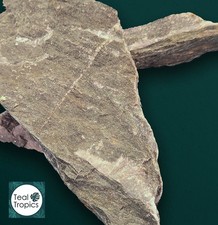 Cut & Clean Terrarium Stone Pieces - Rocks Natural Decoration Decor Aquarium