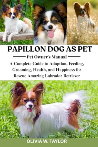 Papillon dog pet a - papillon,