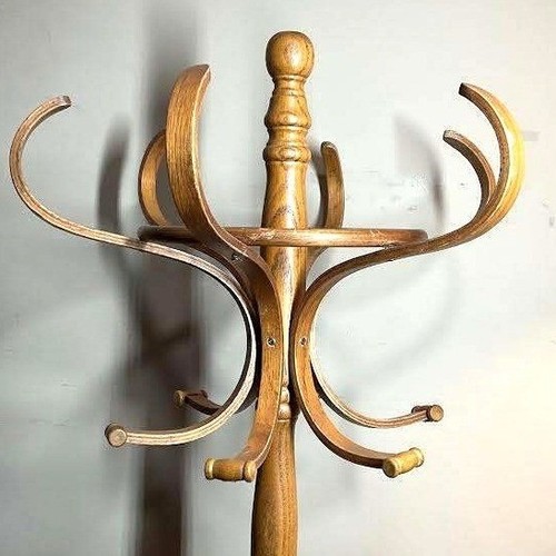 Vintage bentwood oak - oak, tree