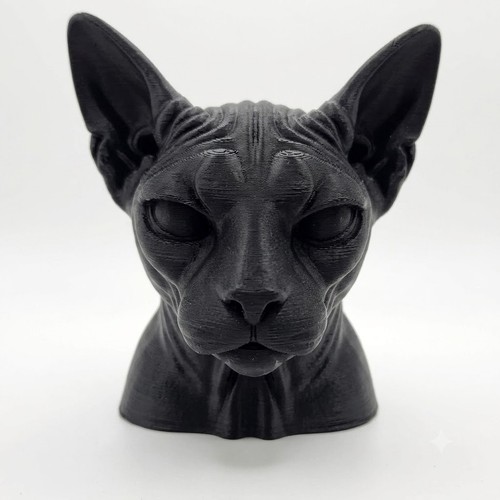 Sphynx cat bust - cat, home