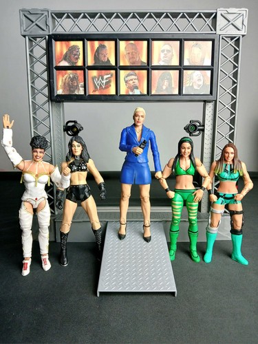 Wwe mattel jakks female - wwe, mattel/jakks