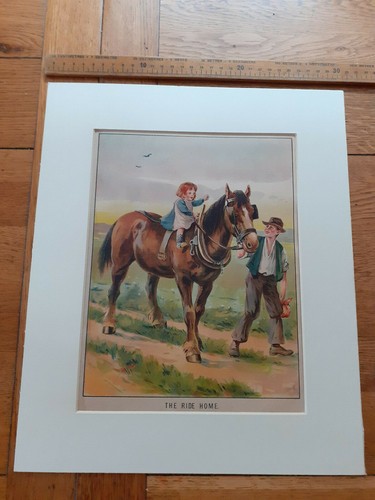 The ride home - the, litho