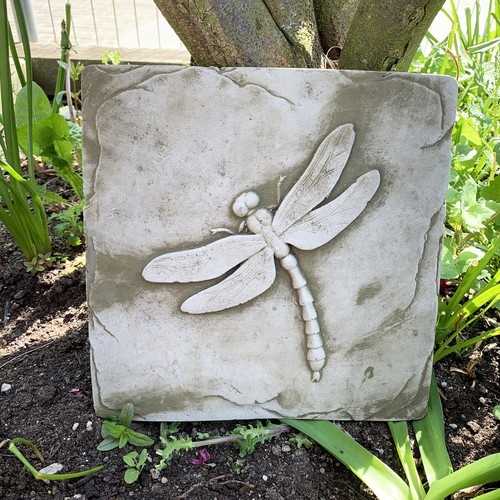 Stone dragonfly wall plaque - dragonfly,