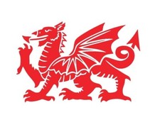Welsh Dragon Vinyl Sticker Die