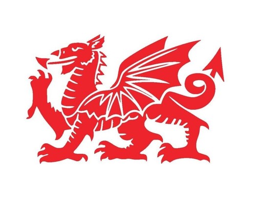 Welsh dragon vinyl sticker - dragon,