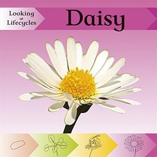 Looking at Lifecycles: Daisy-Victoria Huseby