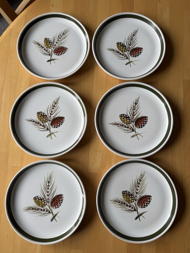 Vintage denby langley - 6,