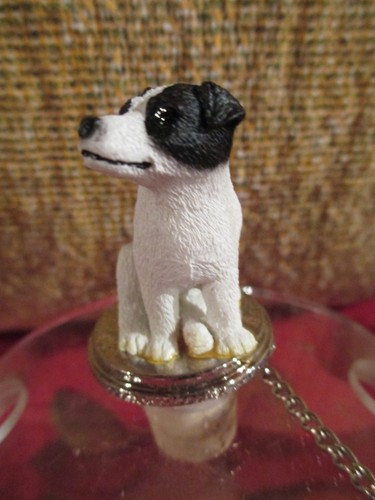 Jack russell terrier - blk/, wht