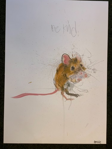 Dave white kind signed - white, "