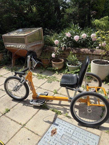 Pacific cycles adult - adult, recumbent
