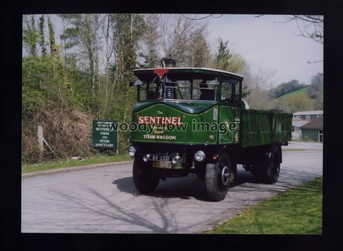 Tz0267 sentinel light weight - sentinel,