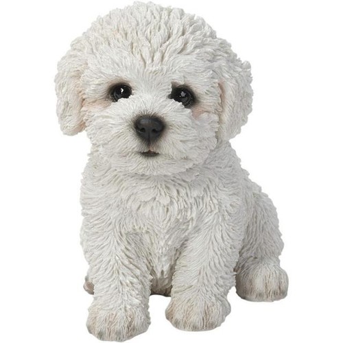 Vivid arts pet - vivid,