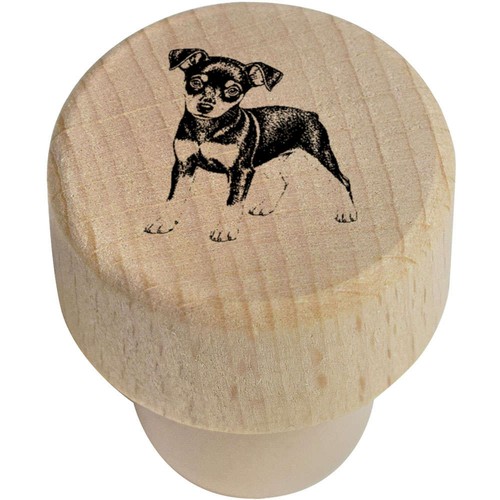 Miniature pinscher puppy - 'miniature,