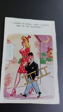 Vintage Saucy Postcard Comic